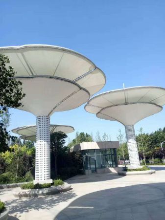 湿地公园景观